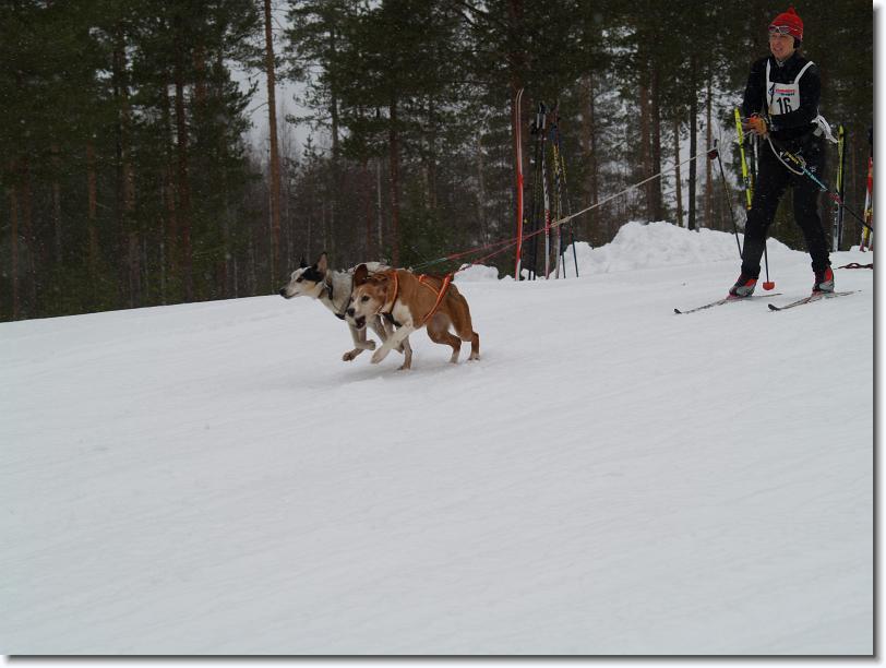 Nästa bild